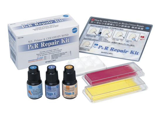 P&R Repair Kit – Shofu